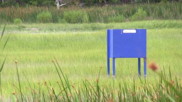 A green head trap sits in middle of upland marsh controlling horsefly populations for summer time locals and tourists