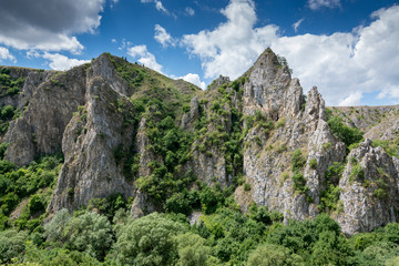 Tureni Gorge