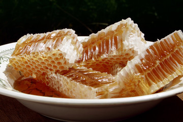 Sweet fresh honeycomb on a plate on dark background