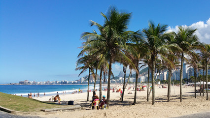 Obraz na płótnie Canvas Coconut trees on the beach of Leme and Copacabana in Rio de Janeiro Brazil