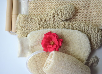 Obraz na płótnie Canvas Top close up view of a set of body massage brushes for dry brushing, exfoliation and lymph drainage with a red rose on white 