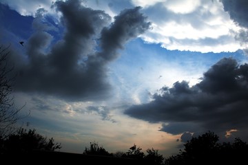 Colourful storm sky. Black clouds in strange shapes. Dragon shape cloud. Terrible background weather.