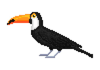 Old school 8 bit pixel art toco/common/ giant toucan isolated on white background. Wild south american animal. Exotic tropical jungle bird. Zoo/national park inhabitant. Summer vacation character.