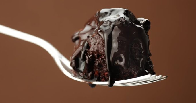 closeup of piece of chocolate cake on a fork