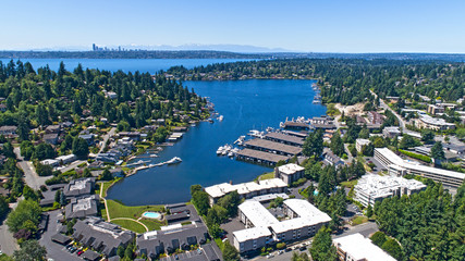 Bellevue Washington Aerial View of Meydenbauer Bay Whalers Cove - obrazy, fototapety, plakaty