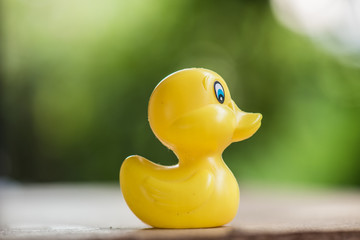 Duck doll blurred for background