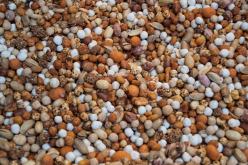 Background nuts, walnut, pistachios, peanuts, hazelnut, Indian nut, on a bunch, healthy food