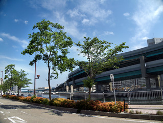 Fototapeta premium Road street trees and urban highway in Fukuoka city, JAPAN. It is in June.