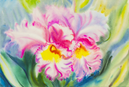 Painting purple,pink color of orchid flower and green leaves