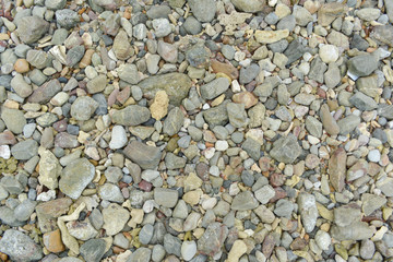 rock on beach for background