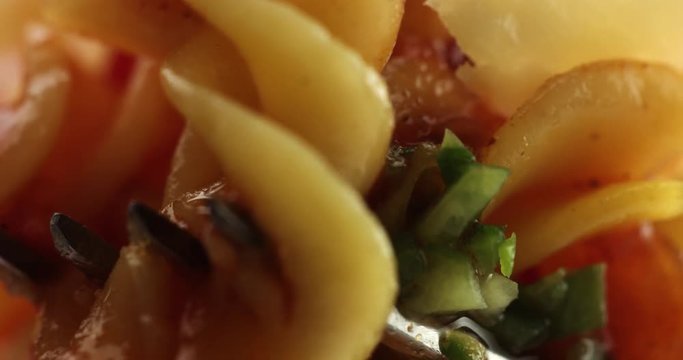 fusilli macaroni pasta on a fork closeup