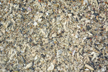 stone surface on beach for background texture