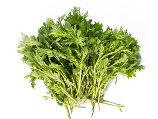 Chrysanthemum coronarium Isolated on white background