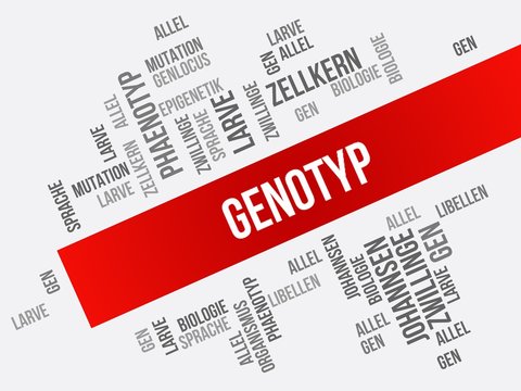 Genotyp
