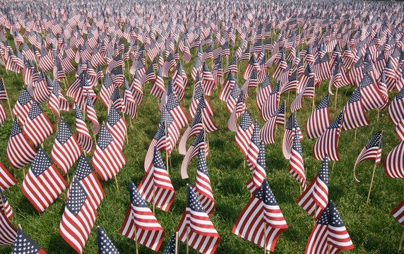 Patriotism shown by a field of planted American Flags