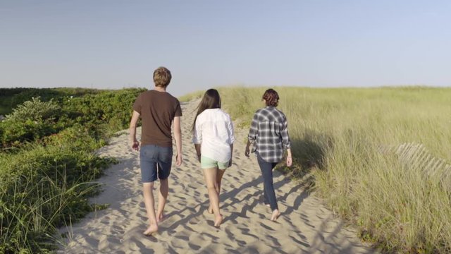 Group Of Multiethnic Teens Walk Along Sandy Beach Path 