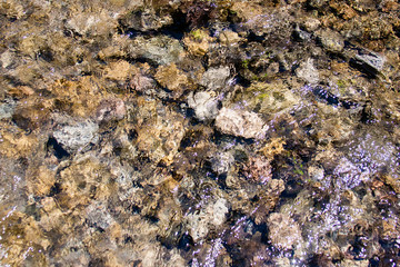 Water ripple abstract