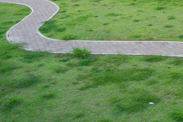 the walkway on green grass