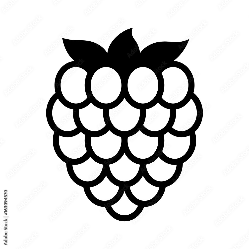 Wall mural raspberry fruit or raspberries line art vector icon for food apps and websites - Wall murals