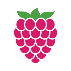 Raspberry fruit or raspberries flat color vector icon for food apps and websites
