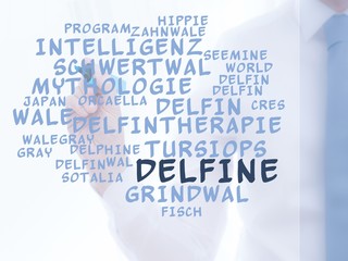 Delfine © CrazyCloud