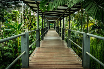 Obraz premium Footbridge in the park