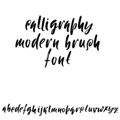 Hand drawn elegant calligraphy font. Modern brush lettering. Grunge style alphabet. Vector illustration.