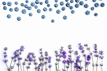 Fresh lavender flowers and blueberries on a white background. Lavender flowers and blueberries mock up. Copy space.