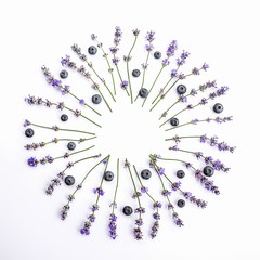 Fresh lavender flowers and blueberries arranged in circle on a white background. Lavender flowers...