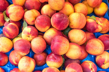 Nectarines for sale at a market in Palermo, Sicily