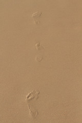 Fototapeta na wymiar footprints in the background sand