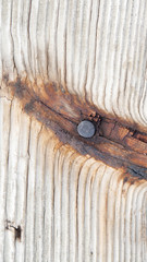 Large rusty nail in a board with rust stains on the wood