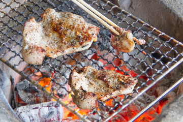 Charcoal stove for the grilling