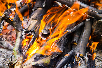 Flame of bonfire. Burning firewood in the fireplace closeup