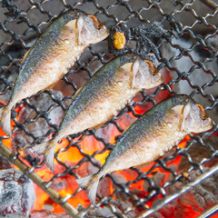Charcoal stove for the grilling
