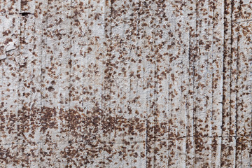 white wood aged texture background