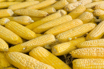 corn boil vegetarian food