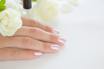 Cares about hands nails. Manicure beauty salon. Nails in pink color. Spring and summer gentle atmosphere with fresh and fragrant white roses on the table.
