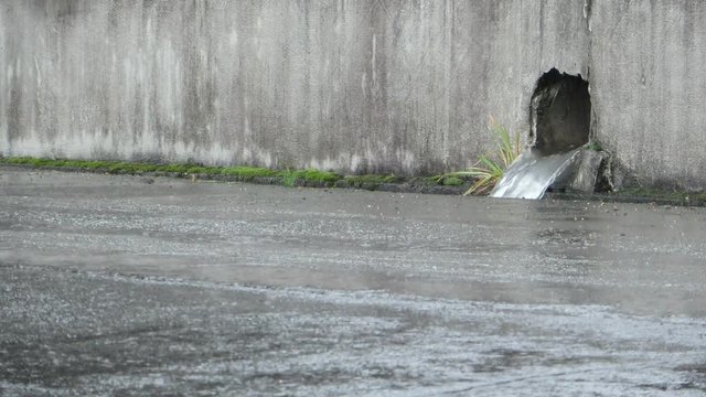 大雨 排水管から流れる雨水