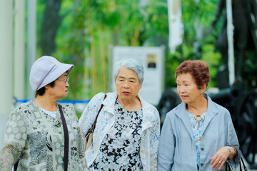 日本人 高齢者女性 旅行