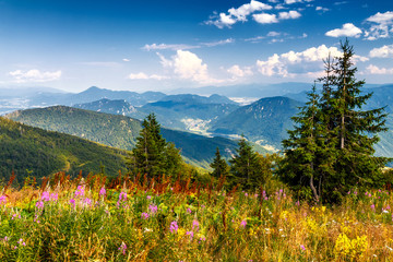 Mountainous country with valleys in northern Slovakia, blossoming meadow in the foreground, Europe.