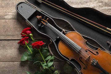 Fototapeta na wymiar Red roses and a violin