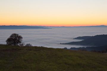 Fog filling a valley at sunset, with hills and mountains emerging like cliffs and plants in the foreground