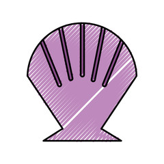 Sea shell isolated icon vector illustration design