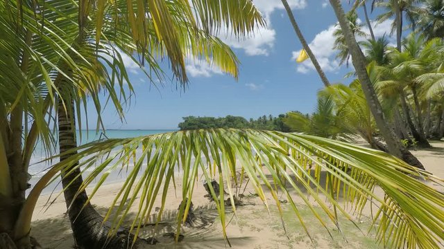 amazing tropical beach playa bonita in the dominican republic