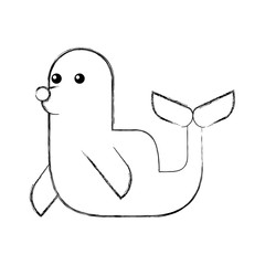 cute seal isolated icon vector illustration design