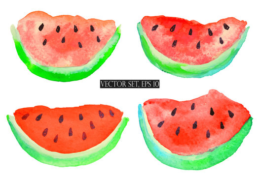 Vector set with watercolor slices of watermelon on white background