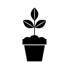 Cultivated plant in pot vector illustration design