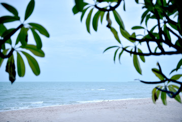 Panorama of beach