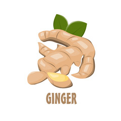Logo Ginger vector farm design
